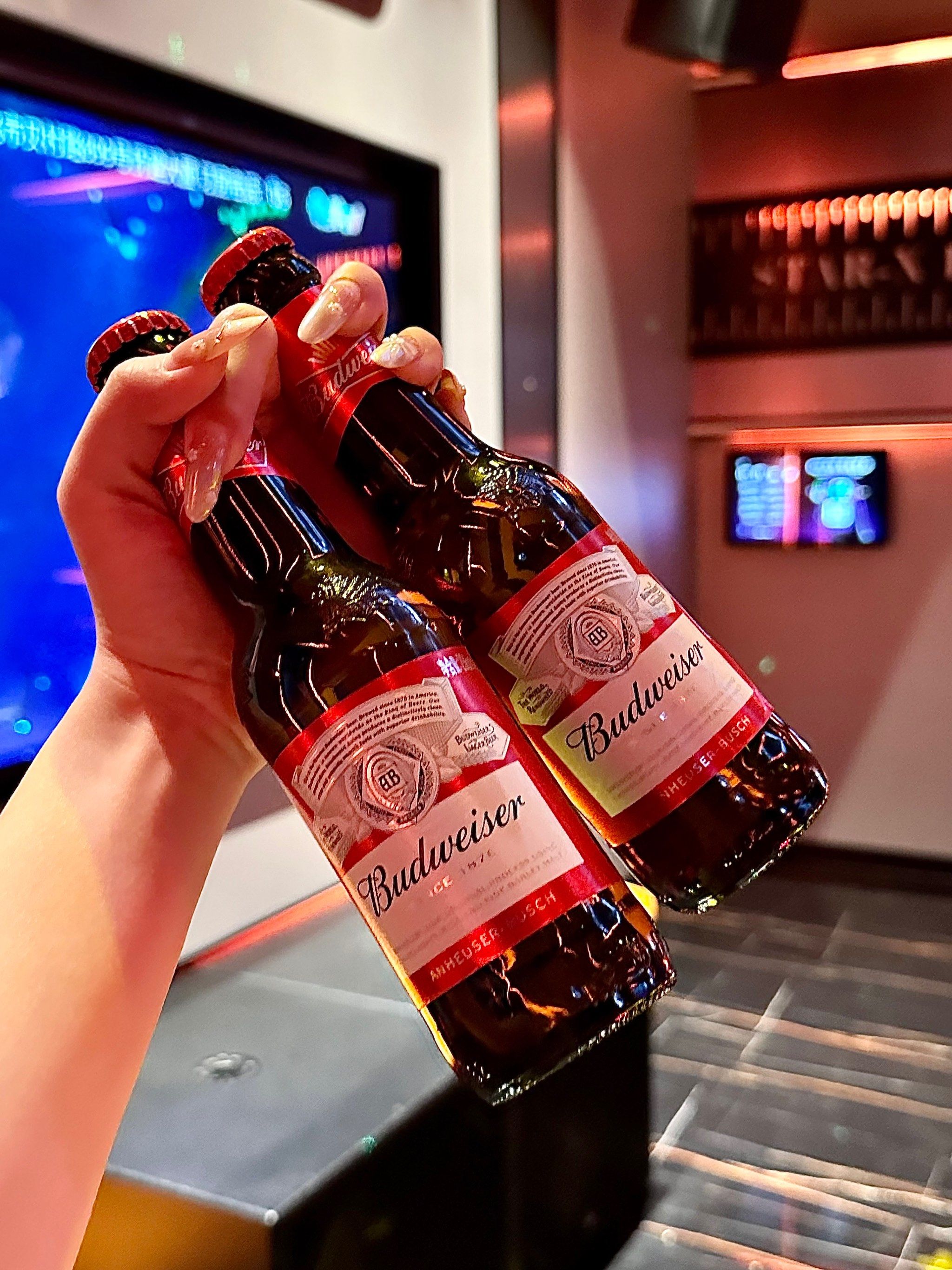 通化商务ktv优选商务ktv预订指南-辉南县ktv预定